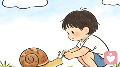 《牵着蜗牛去散步》