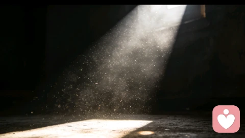 让光进来\n让光进来