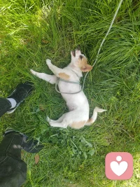 人生本就是一场边走边悟的旅程，不必事事强求圆满，也无需时时焦虑未来。得失皆是常态，悲欢皆为经历，学会接纳不完美，放下执念与遗憾。用心珍惜当下，善待自己与他人，在平凡中寻一份心安，在喧嚣中守一份从容。慢慢走，好好活，清醒且温柔，知足常乐，便是最好的人生。