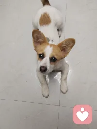 世界很大，日子很忙，我们总在奔波中忽略了身边最温暖的人。 🌟
但正是那一盏为你留的灯、一杯温在掌心的水、一句晚归的叮咛，构成了生命最坚实的底色。
与其追逐远方的喧嚣，不如好好珍惜当下的相伴。
家人闲坐，灯火可亲，便是岁月赠予我们最好的礼物。 ✨
（蛋哥说在等你）