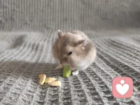随时恭候