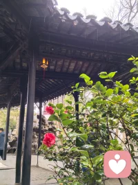 生活各自不易，个人所求不同，各自立场不同，勿在别人心中修行自己，勿在自己心中强求别人配图