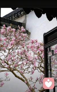 见过太多灵魂的困顿，才懂陪伴是最温柔的救赎.  圣心为引，专业为翼，助您点亮内心力量配图