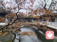 见过太多灵魂的困顿，才懂陪伴是最温柔的救赎.  圣心为引，专业为翼，助您点亮内心力量配图