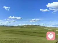 如果说人生的上半场是劳碌、奔波、积累，
而人生的下半场就该归于沉淀与绽放。

但有时候年龄真的是一道坎，
很多时候能清晰地体会到，
心有余而力不足。

好想停下来，
欣赏一下身边的风景，
可生活每天都在变化，
让我没有喘息的机会！