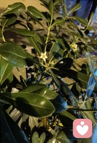 如果暂时无法理清，可以先把这份情绪当作一个信号——它在提醒你：你值得被关注，你的感受很重要。配图