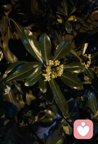 旷野之上，天地之间，生灵之息，万物可爱配图