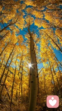 人不会做完全违背自己真心的事，哪怕嘴上再怎么说。
 
- 嘴上说爱你，却一直伤害你 → 其实没那么爱
​
- 嘴上说要努力，却天天躺平刷手机 → 其实没那么想成功
​
- 嘴上说要减肥，却忍不住暴饮暴食 → 其实没那么想瘦
 
你的行动，就是你最真实的想法。
行为就是你的心，心就是你的行为。