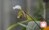 你不是脆弱，你只是在复杂的关系里，暂时弄丢了自己的回声。
作为一名情感倾听师，我能为你提供的，不是差评，不是教导，而是一间安全的“心灵整理室”。
在这里，我们可以一起：在迷雾中，陪你找回自己的坐标。配图