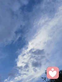 我接受任何的人事物，允许一切发生，如果当下我还没理解你，请放心不是你的问题，是我还没有全方位了解你配图