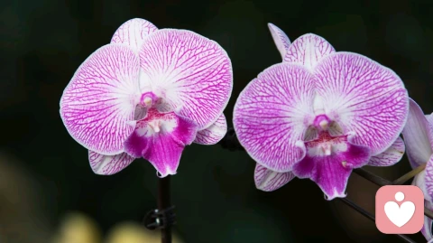 做一个温暖阳光的你自己