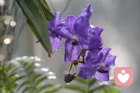 总有那么一些时刻，你会突然觉得，生活好难。
其实你不用逼自己立刻好起来，慢慢来，我陪你！