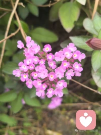 烟火人间，各有温柔
不必焦虑时光，三四月的花
终会开在属于自己的季节