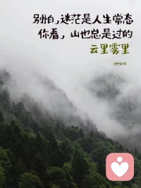 我们总想着快一点，再快一点——
快一点得到答案，快一点解决难题，快一点走出困境，
却忘了，人生从来都不是一场竞速赛。