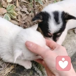 ○善待⌒自己○的头像