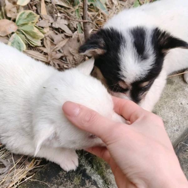 ○善待⌒自己○