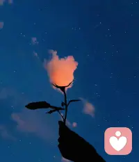 在你最虚弱的时候，最强版本的你即将登场
你现在遇到的每一个困境，都是针对你性格的弱点而量身定制的所以命运会反复触底，直到你给出新的答案为止