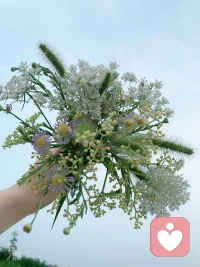 把耳朵借给风，把心事留给我。
第一次以倾听者的身份，站在这里。
世界很吵，总有人需要一个安静的角落。
往后，我愿做这片角落的守护者。
你尽管把情绪抛给我，我会陪你慢慢消化。
晚安，愿每个来找我的人，都被温柔以待配图