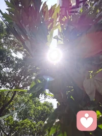 太阳东升西落，月有阴晴圆缺
一切发生皆有利于我，都是最好的安排配图