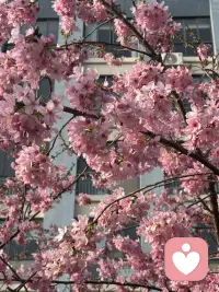 本人是一名倾听师，倾听你所有的烦恼与不开心配图