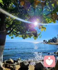 情绪没有对错，想说就说出来。我在这里，安静倾听，用心陪伴，做你最可靠的情绪树洞。配图