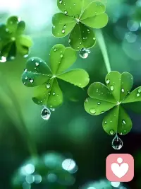 今日在线倾听
不管是烦恼、委屈还是小情绪，
慢慢讲，我认真听。配图