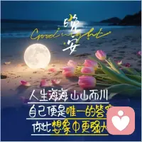晚安😊配图