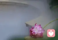 不必等待巨浪，
每一滴奔赴大海的水珠都是勇者。配图