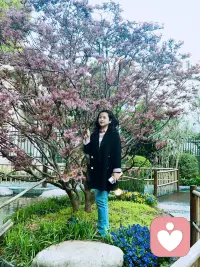 你的心事 我愿意认真听！配图