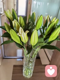 情绪不是负担 说出来 就是自愈的开始 
新的一天 一起迎接美好 周末愉快配图