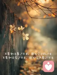 所谓活的通透，一半是经历换来的，一半是释怀成全的。配图