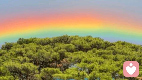 为什么道理都懂，却仍然过不好这一生\n \n我们常常捧着人生箴言，熟记世间道理，明白坚持的意义，懂得宽容的珍贵，知晓放下的洒脱，可当真的身处生活的烟火气里，却依