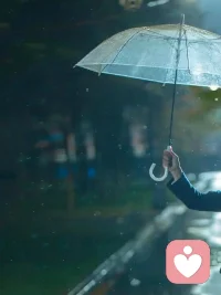 下雨天你站在别人檐下躲雨，人家客气地说“没事没事”，但你听得出来那是客套。自己的伞，想往东就往东，想停就停，不用看任何人脸色。真正的安全感，从来都是自己给的。这把伞，挡得住风雨，也撑得起尊严。