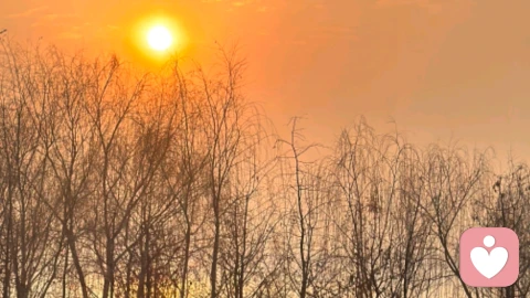 焦虑症从爆发到恢复必经6个阶段（完整病程逻辑、贴合身心感受）\n \n第一阶段：恐慌爆发，失控崩溃\n \n躯体症状集中爆发：心慌胸闷、濒死感、失眠紧绷、胡思乱