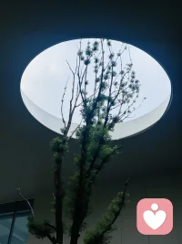 情绪是心魔，这话一点不夸张。你生气的时候说的话，清醒了想抽自己；你冲动时候做的决定，冷静了想删都删不掉。能管住情绪的人，才能管住人生。不是说不能有情绪，而是别让情绪替你当家。