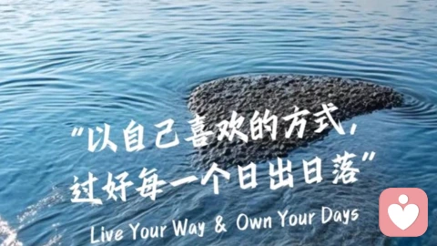 成年人的世界，与焦虑和解，向世界稳步出发\n \n成年之后，我们总被无形的焦虑裹挟：工作的压力、生活的琐碎、未来的不确定，还有旁人眼中的期待，都化作心头的重担，