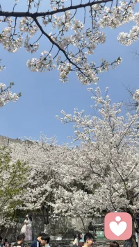 真正的自我实现，不是成为别人，而是越来越清晰地成为你自己。不必急着证明什么，认真生活、持续向上，时间会给你想要的答案。配图