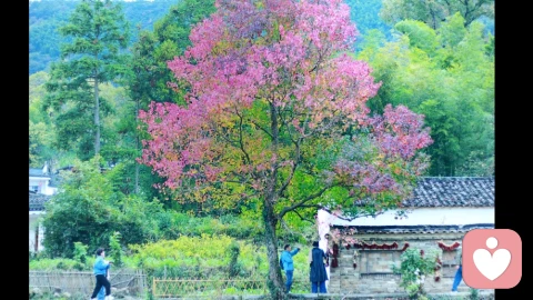 永远不要在脆弱的时候开始一段感情\n \n人在脆弱的时候，最容易把一时的慰藉，错当成一生的缘分。低谷里的孤独、失意时的无助，会让心变得格外柔软，也格外盲目，此时