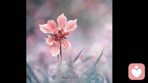 情感饥饿：藏在心底的未被满足的心灵渴求\n \n在心理学中，情感饥饿是一种长期被忽视的心理状态，它不同于生理上的饥饿，而是心灵对爱、关注、认可与陪伴的极度渴求，