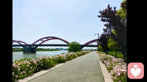 所有关系里，最通透的相处之道\n \n人与人之间，最好的关系，从来不是刻意讨好、紧密捆绑，而是懂得分寸、彼此舒服，这便是最通透的相处之道。\n \n好的关系，始