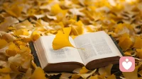 最近读的书，提到“学会讨好你自己”，分享几点感悟：
①：知道自己有什么，会什么，能做什么，多看见自己，确认自己所拥有的，提高自信与成就感。
②：不要让某人成为自己的标准，可以欣赏别人的特质，但坚持并坚信，我有我的特色。
③：多读书，多交谈，多创造，开阔视野，培养自己内心充实感与富足感。
④：自爱，才能学会爱，这是真正爱别人的前提。
⑤：要知道自己的底线/雷区是什么，当有人要越界时，要有办法也有力量守护自己的底线。
⑥：在能帮助他人的时候，尽力为之；当各方面都有局限的时候，那么只有一件事，就是要保住自己，托举自己。配图
