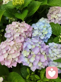 要学会经常性地为自己制造些能够治愈心情的美好小事。哪怕只是在跨入家门前去楼下超市买一支草莓味的冰淇淋。这是一种能力，不要轻易丢弃。