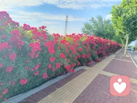 终究留不住岁月，追不上时光。不如顺着心意，好好享受每一天的日出日落。配图