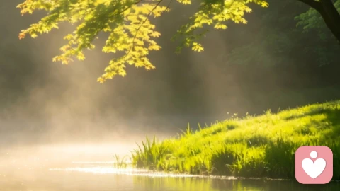 人情冷暖，皆是寻常\n \n人这一生，兜兜转转，遇见无数人，缔结无数关系。到头来方才醒悟，世间所有关系，不过人情冷暖一场，聚散随缘，得失随心，皆是生命常态。\n