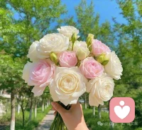  向内深耕，方能向外从容。