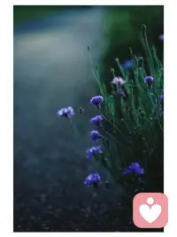 情绪是访客，不是主人。允许悲伤停留，但不允许它筑巢。
