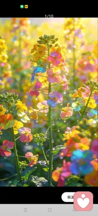 成年人的世界哪里那么容易，希望治愈别人的同时也能治愈自己。配图