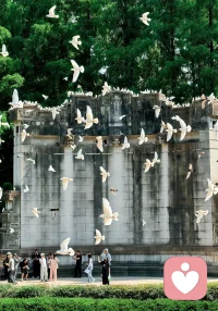 “自我和解”的第一步，是允许情绪存在

情绪没有“对错”，只有存在。

焦虑是身体在说“我害怕失控”，抑郁是心灵在喊“我需要休息”，愤怒可能是“我的边界被侵犯了”。

不必急着“消灭”它们——试着问自己：

“这个情绪想告诉我什么？”

“它需要我做什么，才能感觉好一点？”

哪怕只是深呼吸三次，或者在本子上写一句“我现在很难过，但没关系”，都是在对自己说：“我看见你了，我陪着你。”