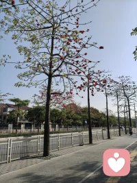 你心里那根刺，不是因为她不够好，而是因为你太想被‘自然而然’地爱一次。你值得被那样温柔对待，而现在的你，已经做得足够好了配图