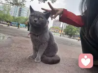 不慌不忙，慢慢长大
万物可爱，日子温柔配图